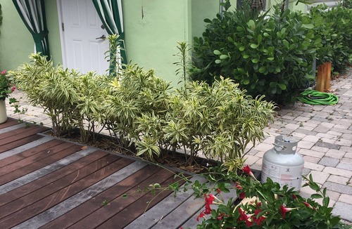 West Palm Beach Cottage | 2 Blocks from Intercoastal Waterway & minutes to beaches !