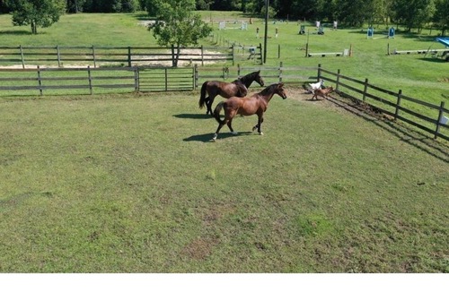Gulfport Other | 30 Acre Horse Farm with Barn