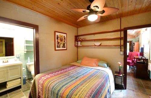 Faubourg Marigny Bed & Breakfast | A LEGAL GUESTHOUSE! The Little Eazy Guest House-Owner lives on the property