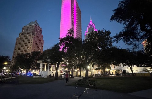 Central Business District Apartment | Above it All-downtown, gym, free parking, cruise, Mardi Gras, cozy, stylish
