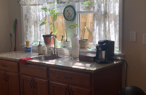 Broadmoor Apartment | Affordable & Quiet Living in New Orleans