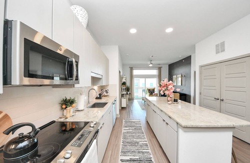 Braeswood Place Apartment | Arabella Retreat near NRG Stadium in TX Med Center