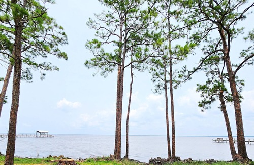 Eastpoint House | Bayfront Home just minutes from St. George Island! Sleeps 8! Private Estate!