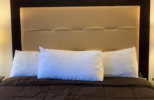 Harold Hotel | Blackwater Inn Milton