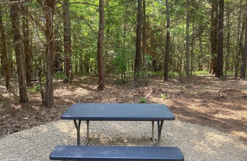 Dogwood Cabin | Cabin in the piney woods of East Texas, near lakes and state parks.