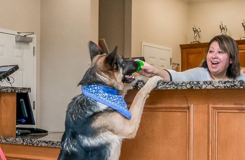 Longview Hotel | Candlewood Suites LONGVIEW, an IHG Hotel