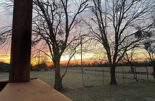 Sulphur Springs House | Charming 3-bedroom house 5 minutes from the Square in Sulphur Springs.