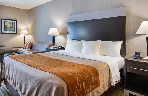 Camden Hotel | Comfort Inn Camden