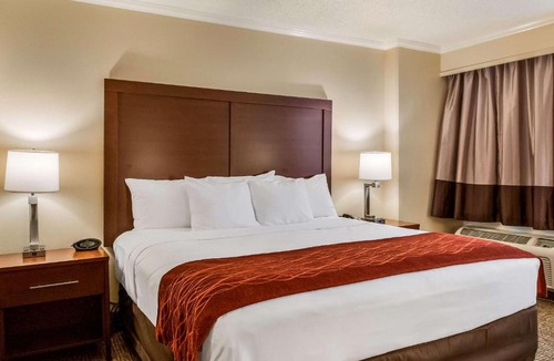 Metairie Hotel | Comfort Inn & Suites At Copeland Tower