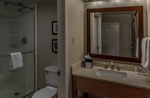 Metairie Hotel | Comfort Inn & Suites At Copeland Tower