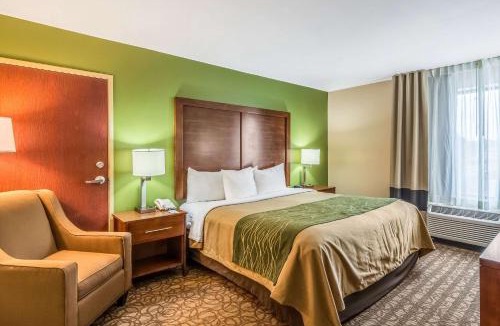 Panama City Hotel | Comfort Inn & Suites Panama City North