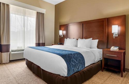 Niceville Hotel | Comfort Suites Niceville Near Eglin Air Force Base