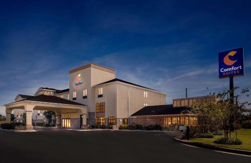 Callaway Hotel | Comfort Suites Panama City near Tyndall AFB