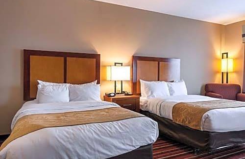 Sulphur Hotel | Comfort Suites Sulphur - Lake Charles