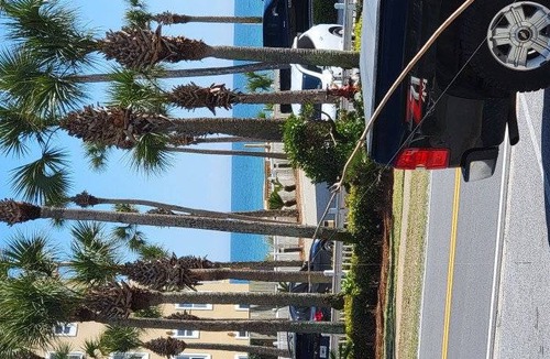 Crystal Beach Condo | Condo ∙ 1 bedroom ∙ 6 guests