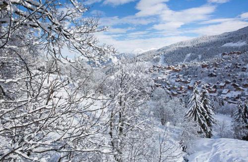 Meribel-Mottaret Apartment | Confortable 2 Pièces pour 4 pers. sur les pistes à Méribel - FR-1-182-52