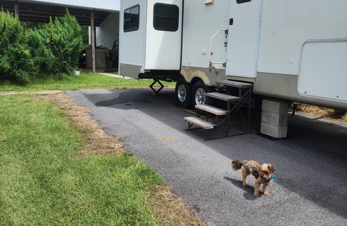 Cottondale RV Rental | Cougar RV in beautiful camp ground.