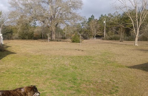 De Funiak Springs House | Cozy 2-bedroom mobile home with AC and WiFi in charming DeFuniak Springs.