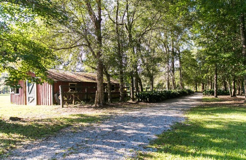 Folsom House | Cozy Cottage on Little Tehfuncte River