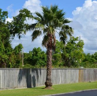 Viavant - Venetian Isles Hotel | Economy Inn New Orleans