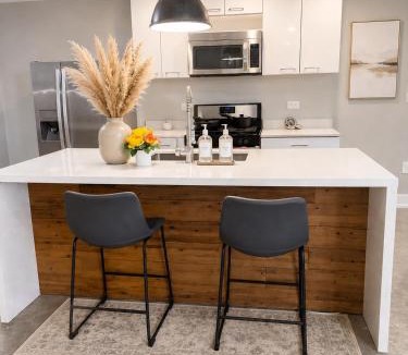 Civil Rights Historic District Apartment | Elegant Urban Oasis Downtown BHM Near UAB & Nightlife