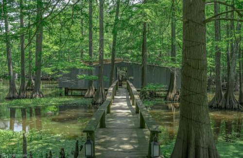 Shreveport House | Emerald Cottage Paddle, Relax & UnwindKayaks