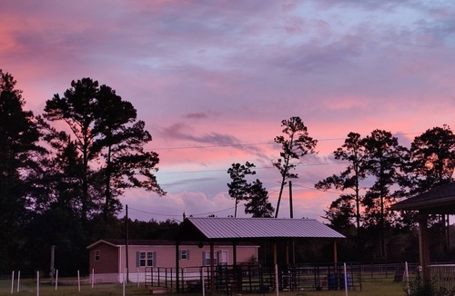Wewahitchka House | Family-friendly animal farm and homesteading haven. Close to the Gulf Beaches.