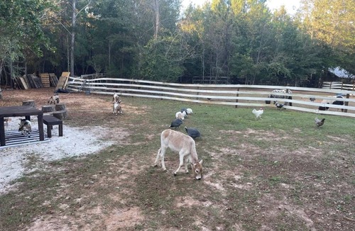 Tallahassee RV Rental | Farmstay- Buckbeak1 Tent/ScreenRoom