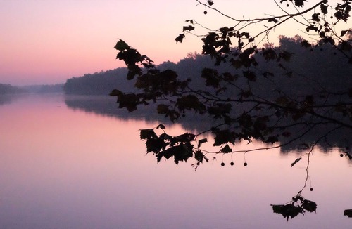 Lottie Cabin | Flying Alligator Riverside Hideaway