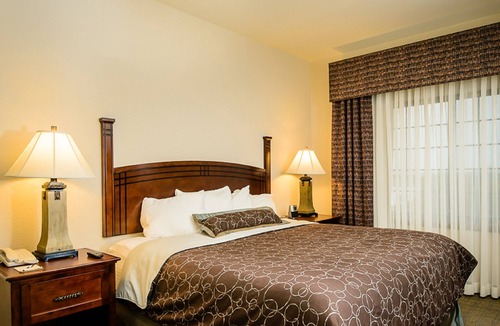 Webster Hotel | Free Breakfast + Outdoor Pool + Hot Tub | Modern Suite