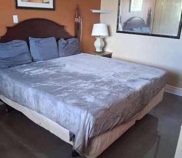 Baton Rouge Apartment | Gated - 1 King Bed 1 Bath Apt with Full Kitchen 107