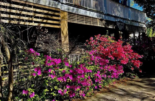 Mandeville House | Guest House - Cressy House B&B