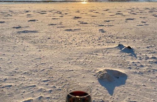 Biltmore Beach Apartment | Gulf of Mexico Getaway! Steps 2 sand, sun & surf! Car available!