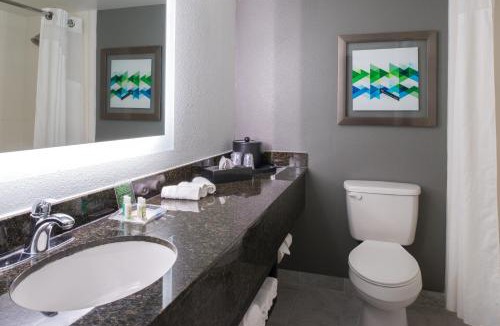 Beaumont Hotel | Holiday Inn Hotel and Suites Beaumont-Plaza I-10 & Walden by IHG