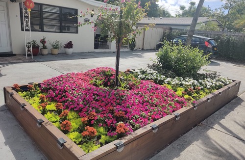 Wilton Manors House | King. Minutes to Wilton Drive. Private entrance and bathroom.