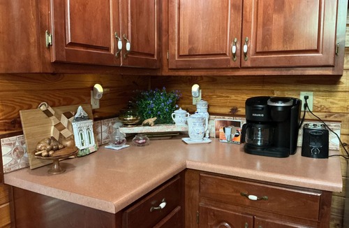 Samantha Ski Chalet | Lake Tuscaloosa Oasis
