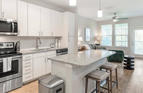 Land O' Lakes Apartment | Landing | Beautiful 1BD, Clubhouse, Gym