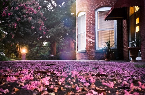 Monroe House | Layton Castle's Carriage House - 2bdrm/2bath with a sunroom and high ceilings.