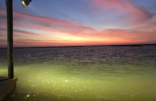 Slidell House | 'Little Blue Crab' Quaint Slidell Home: Near Lakes