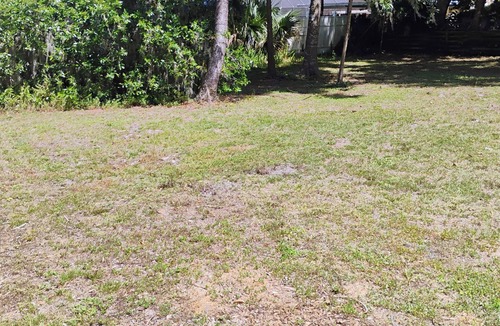 Daytona Beach House | Lovely 3-bedroom house with AC in Daytona Beach