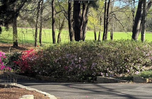 Whitehouse House | Luxury Victorian Estate with Pavilion, Pond & Group Lodging