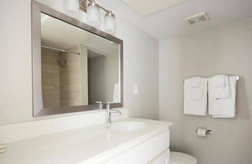 Braeswood Place Apartment | Medical Center Rice University 3 Bedroom Pool