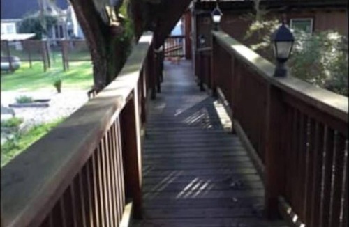 Bogalusa Cabin | Multi level Swiss family Robinson Treehouse