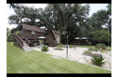 Bogalusa Cabin | Multi level Swiss family Robinson Treehouse
