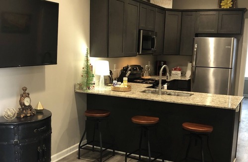 Downtown Condo | New Condo - Sleeps 4 - Downtown Lafayette! #208