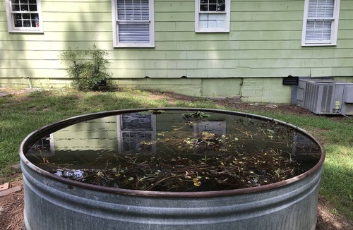 Fondren House | NoFo Bungalow, North Fondren, Northeast Jackson