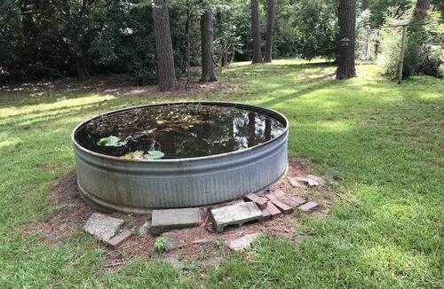 Fondren House | NoFo Bungalow, North Fondren, Northeast Jackson