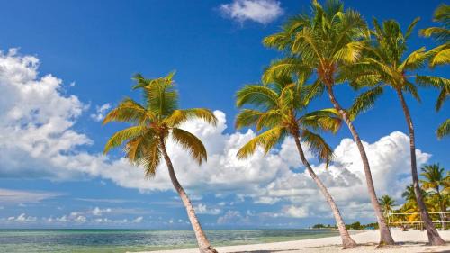 The Meadows House | Paradise Place by AvantStay Key West Old Town Condo w Shared Pool
