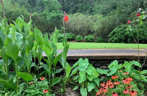 Oxford House | Peaceful Family Getaway just minutes from Square