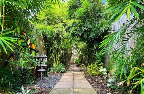 San Jacinto Cottage | Peaceful shady beach cottage 2 minutes walk to the beach!